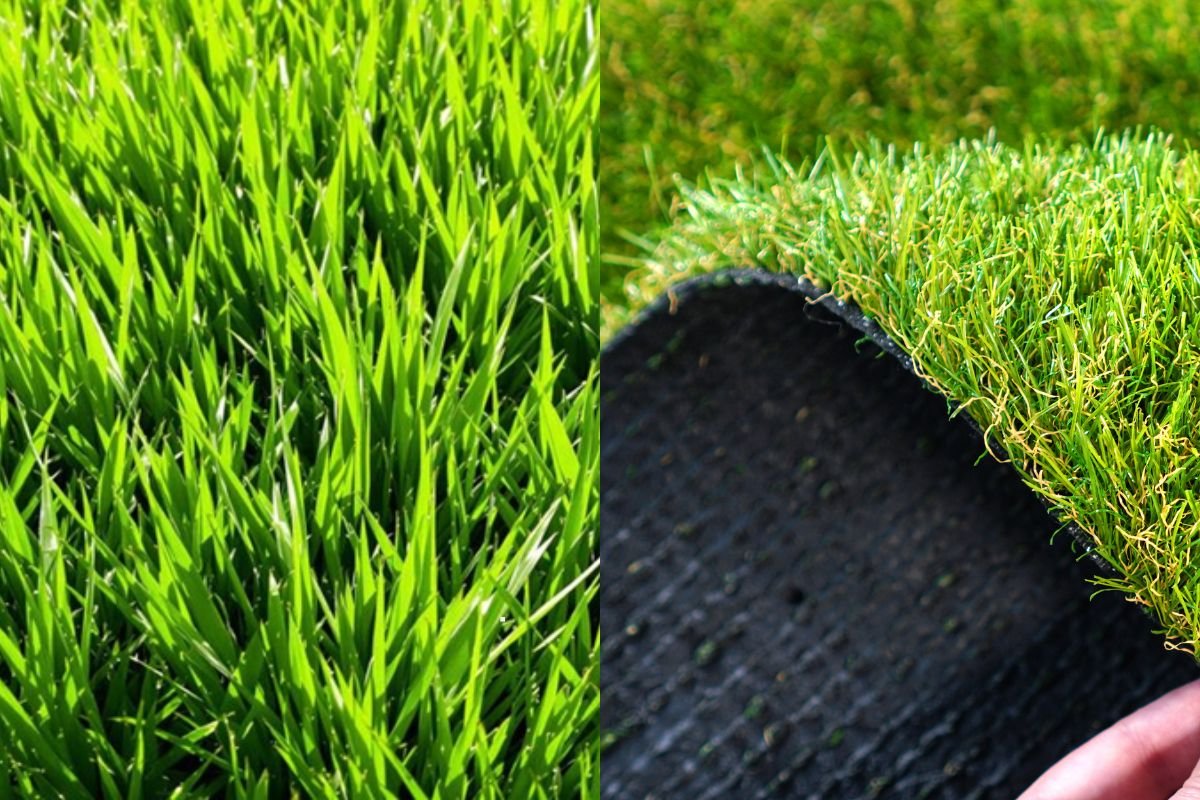 Two images showcasing a vibrant green field and lush grass, highlighting the beauty of nature's greenery.