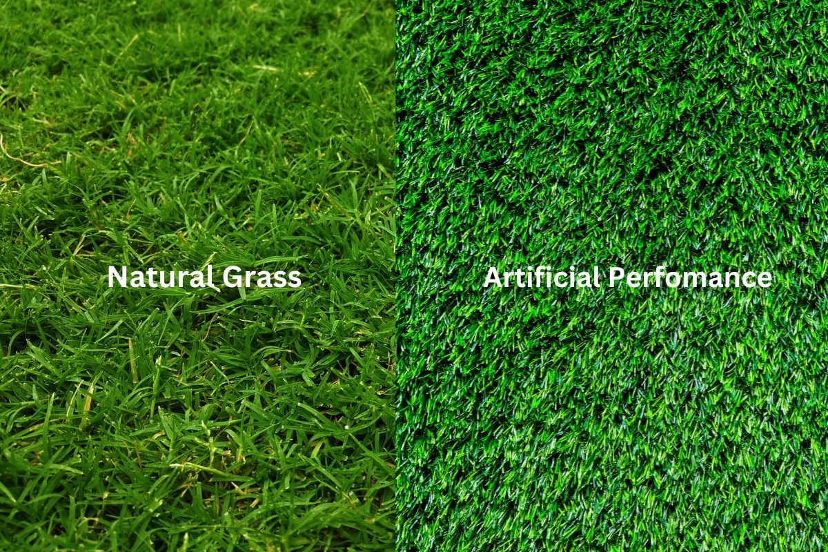 Comparison of artificial grass and natural grass, highlighting texture, color, and maintenance differences.